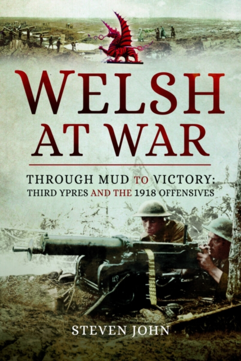 Kniha The Welsh at War