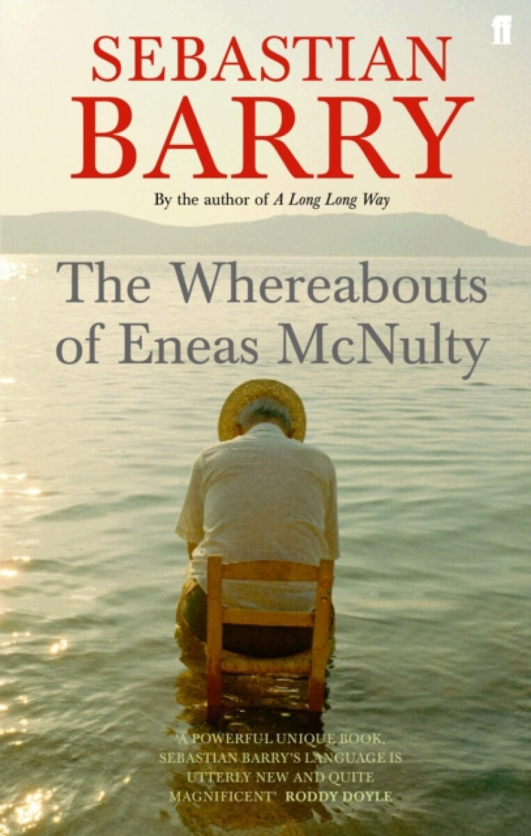 Kniha Whereabouts of Eneas McNulty