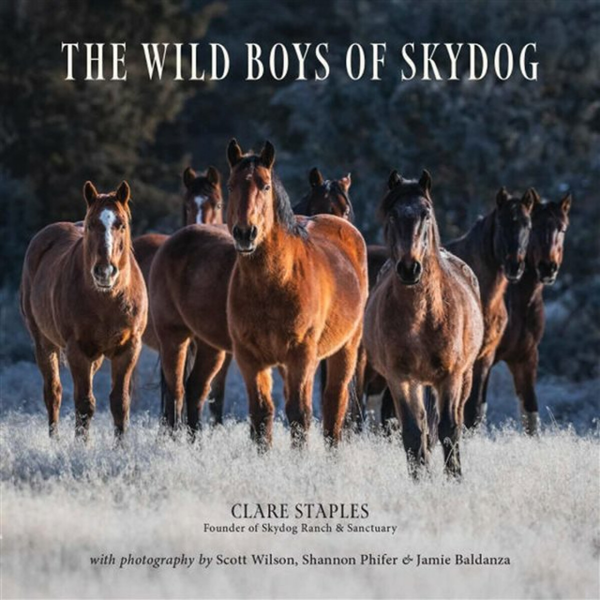 Kniha Wild Boys of Skydog