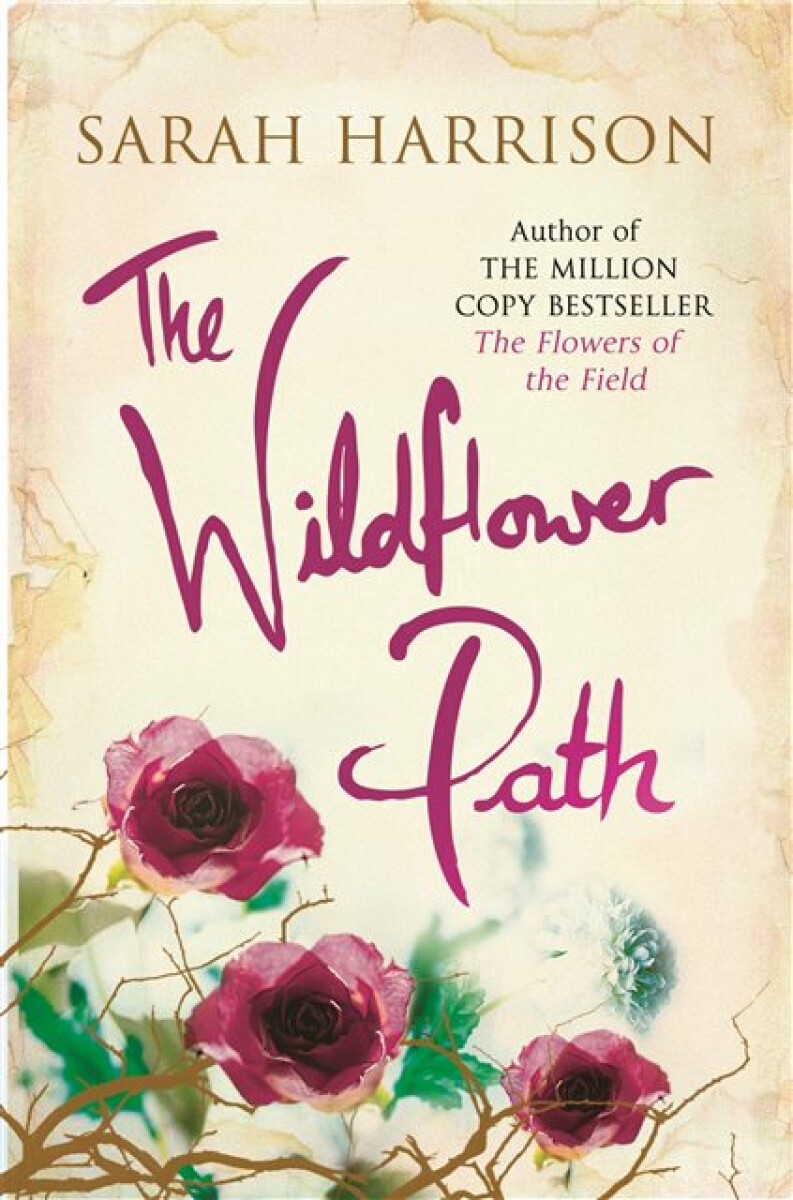 Kniha Wildflower Path