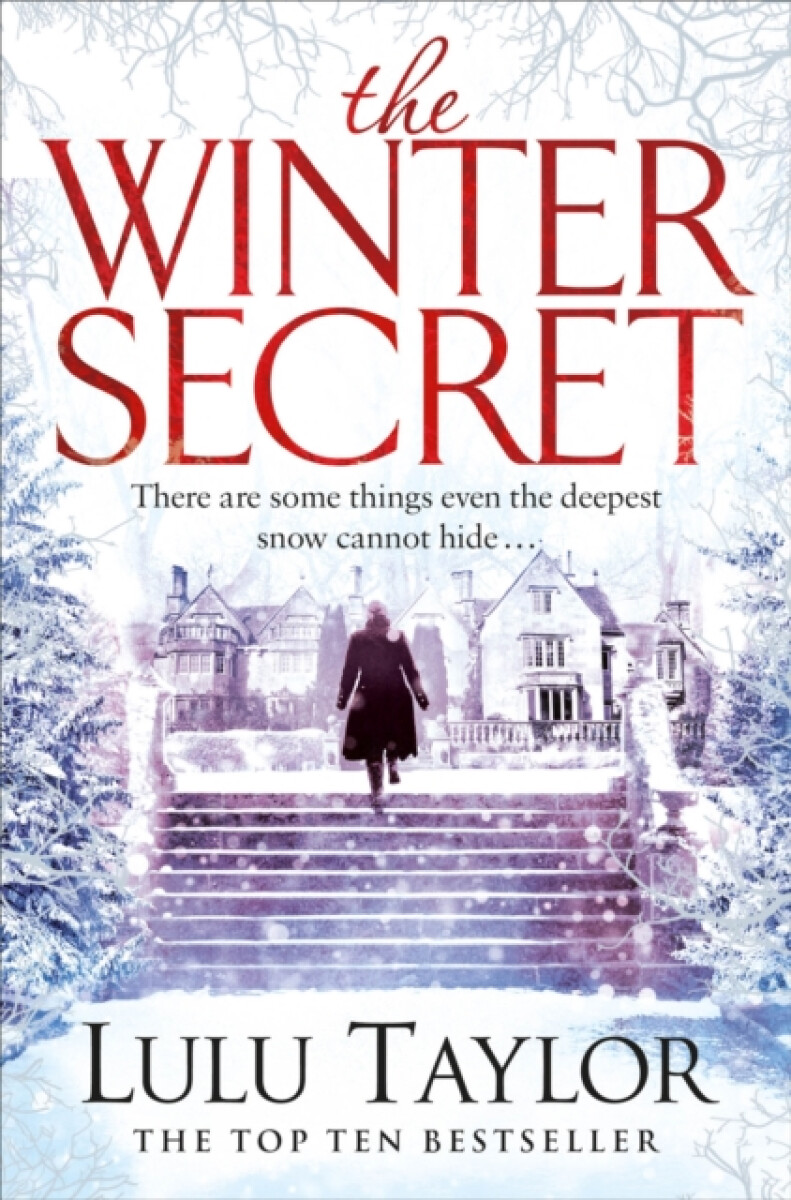Kniha Winter Secret