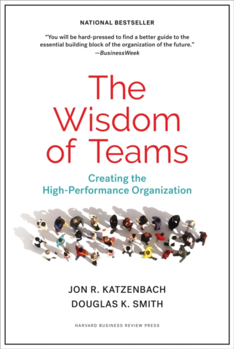 Kniha Wisdom of Teams