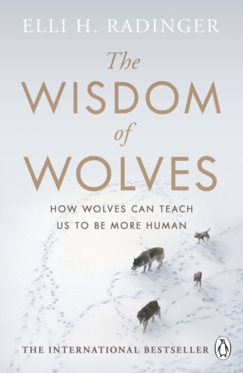 Kniha The Wisdom of Wolves
