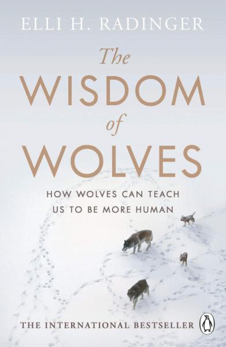 Kniha The Wisdom of Wolves