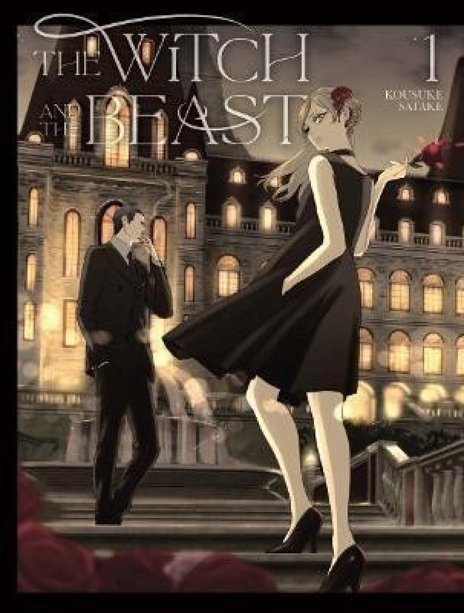 Kniha Witch and the Beast 1