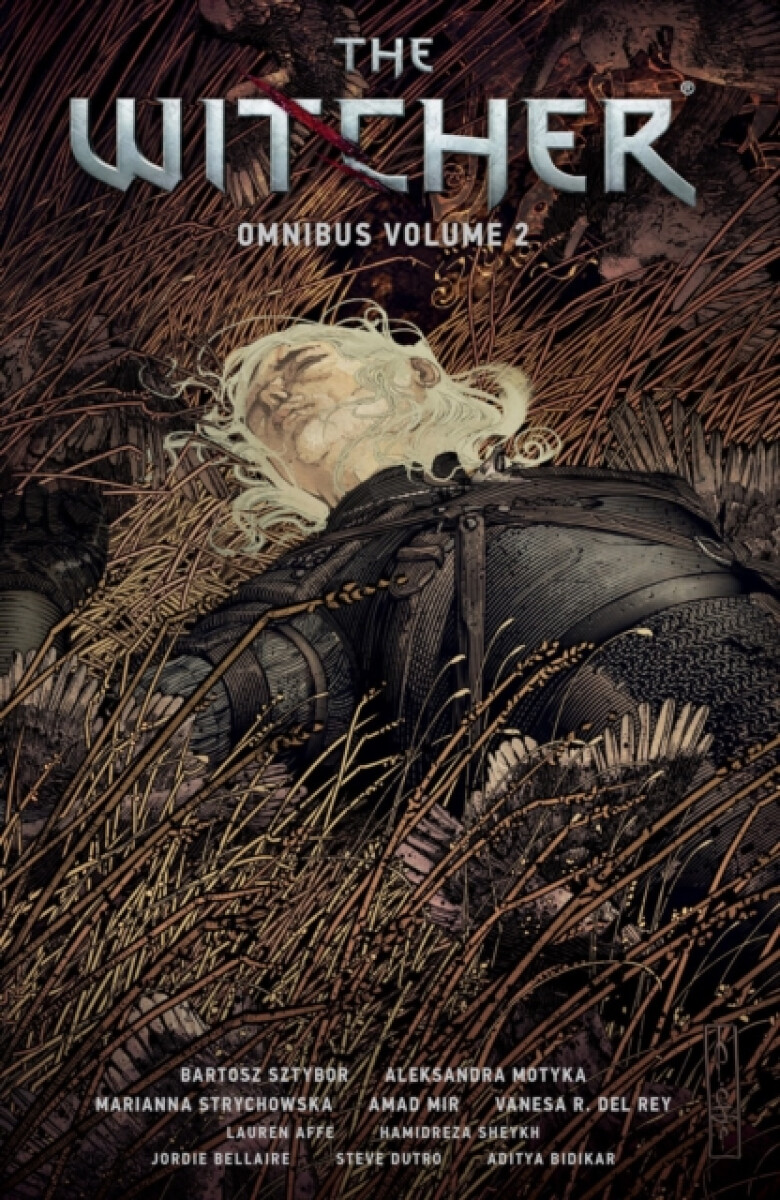 Kniha Witcher Omnibus Volume 2