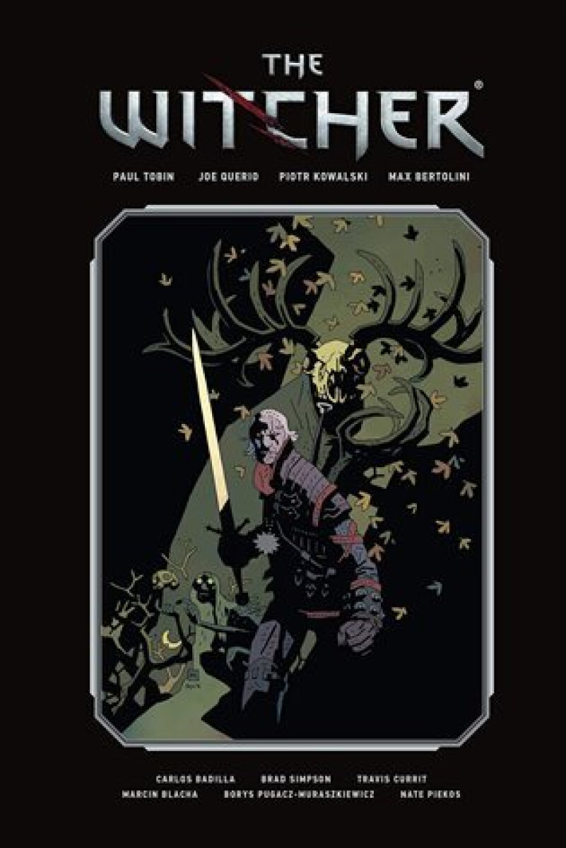 Kniha The Witcher Library Edition Volume 1