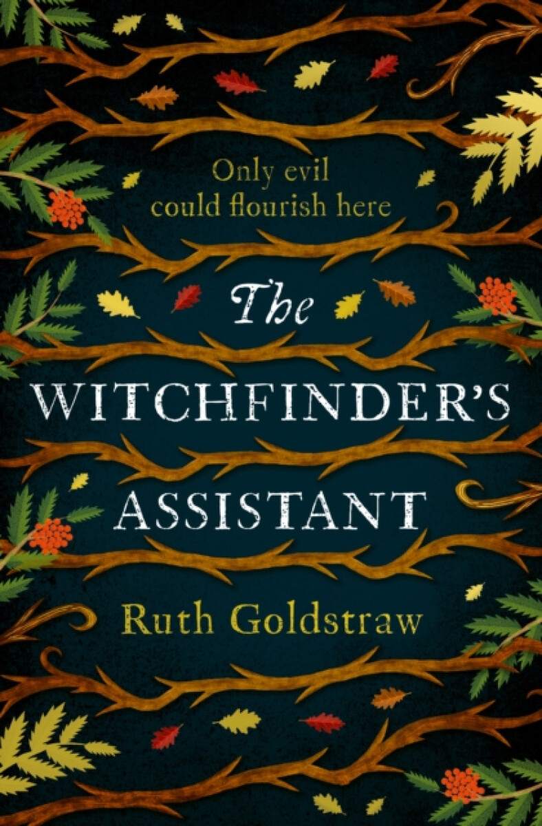 Kniha Witchfinder’s Assistant