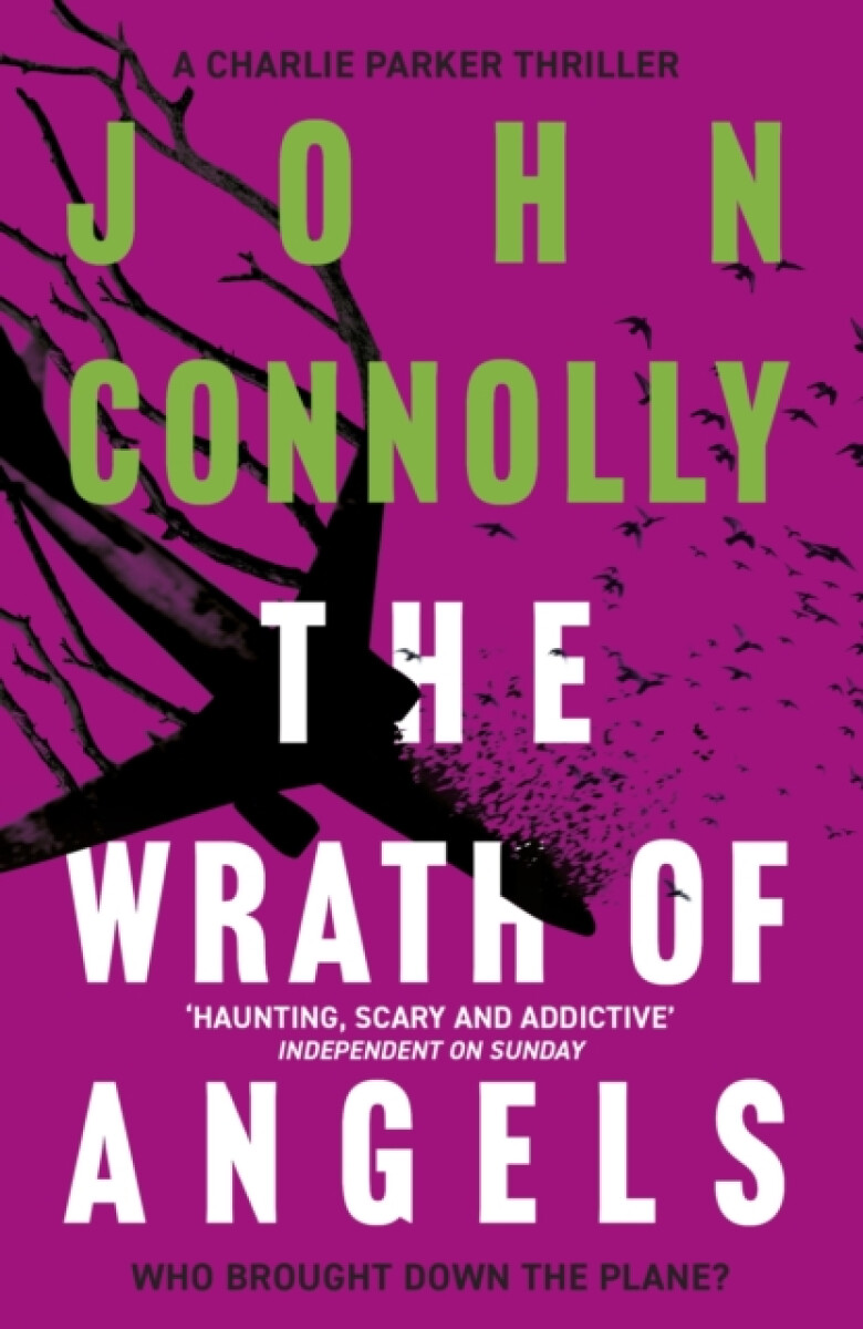 Levně The Wrath of Angels - John Connolly
