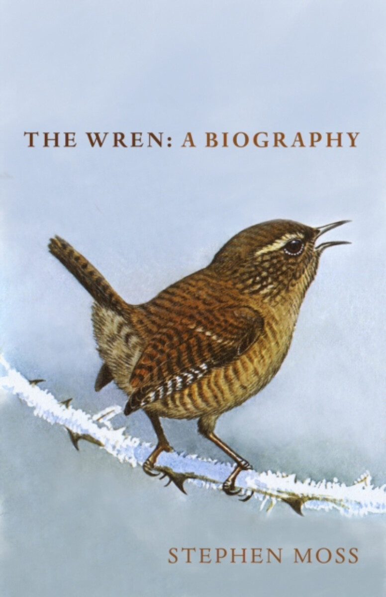 Kniha The Wren