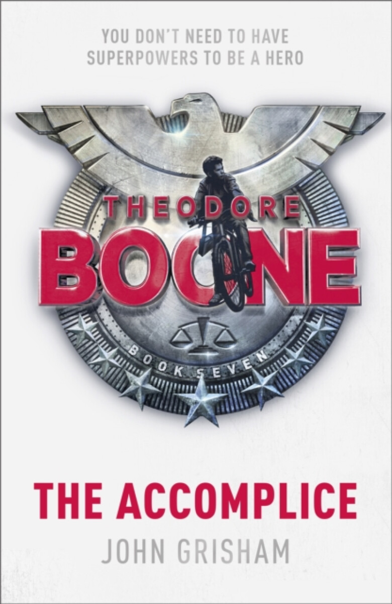 Kniha Theodore Boone: The Accomplice