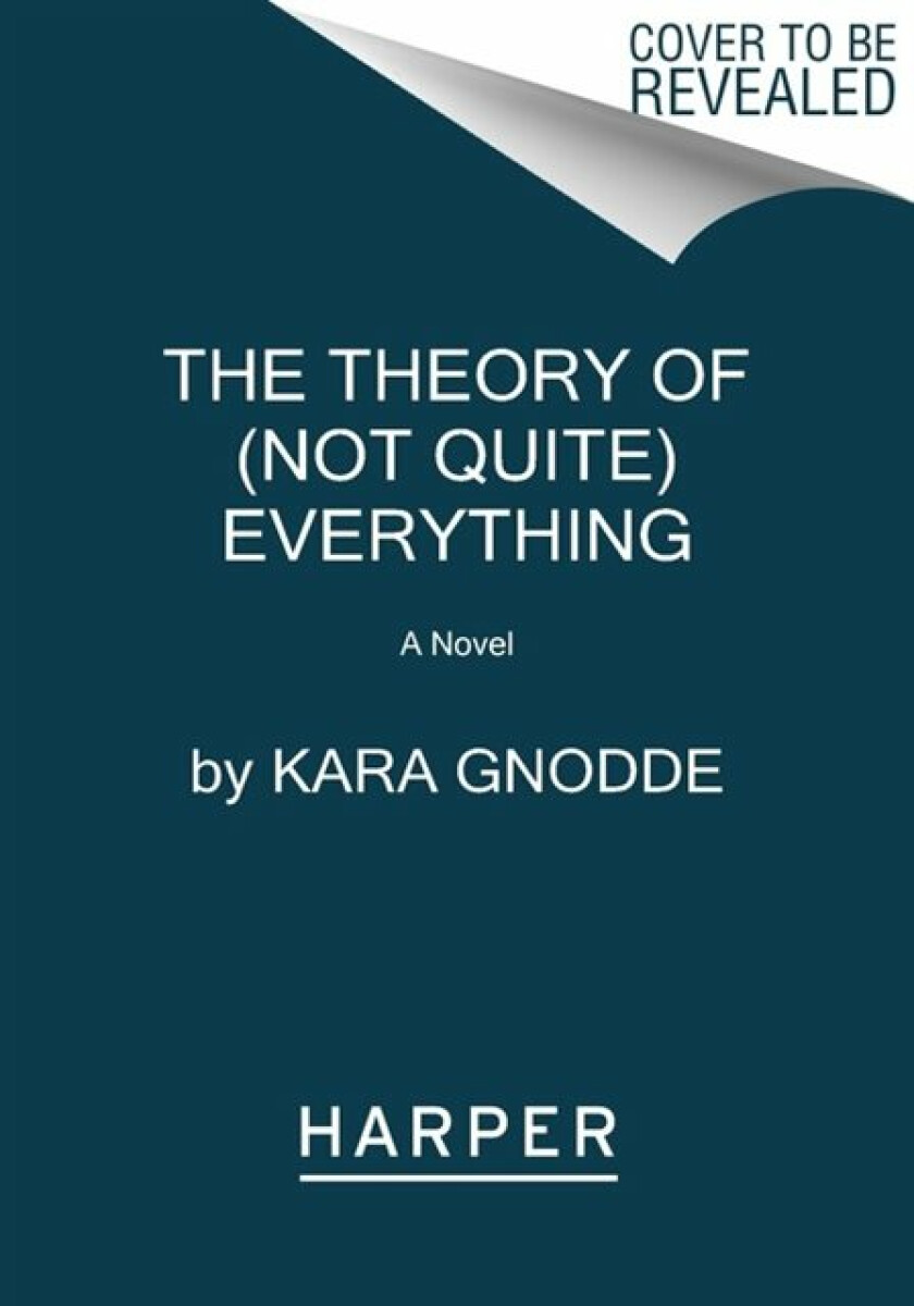 Kniha Theory of (Not Quite) Everything