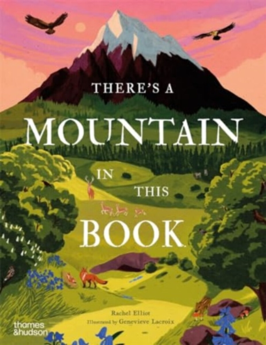 Kniha There's a Mountain in This Book
