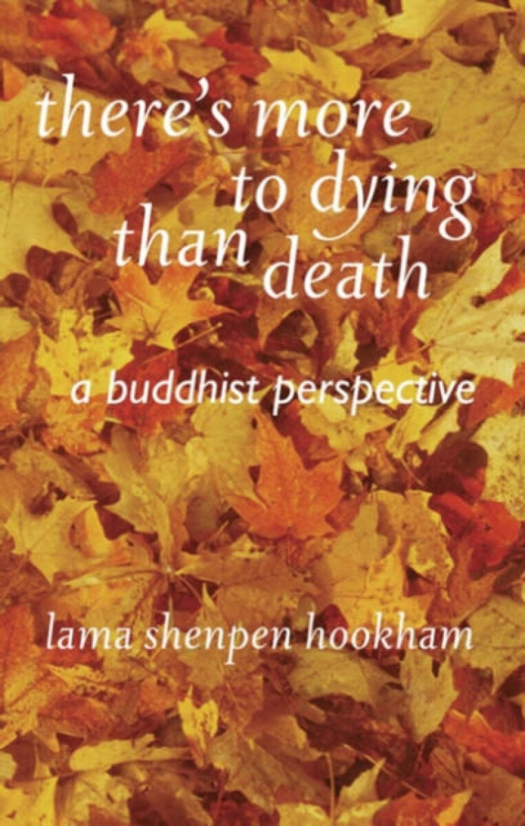 Kniha There's More to Dying Than Death: A Buddhist Perspective