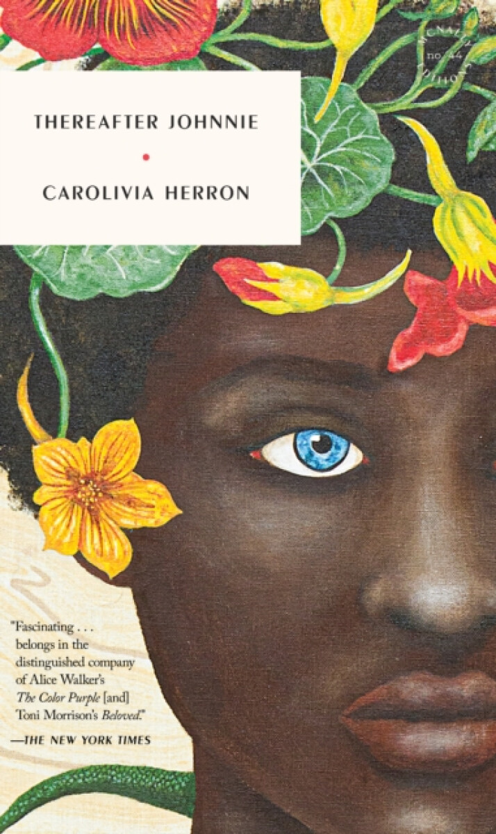 Kniha Thereafter Johnnie