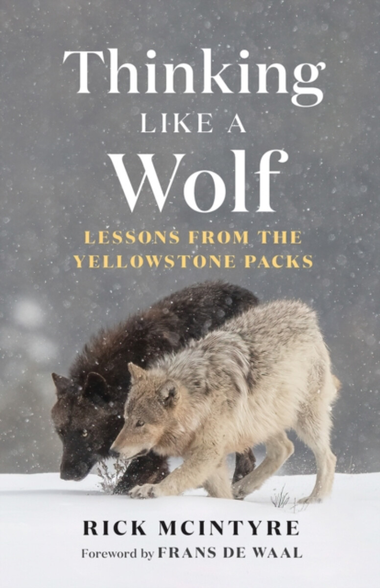 Kniha Thinking Like a Wolf