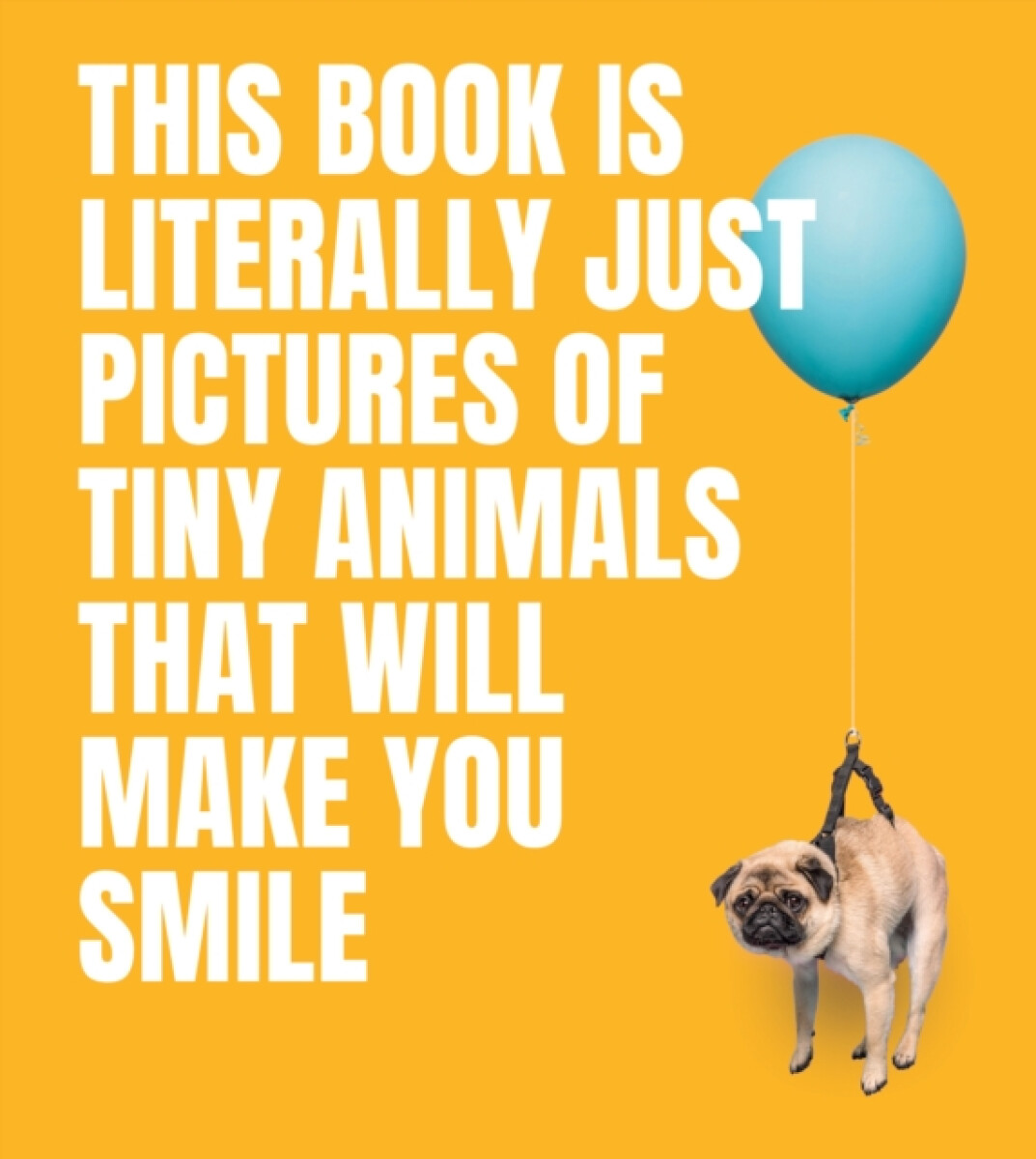 Kniha This Book Is Literally Just Pictures of Tiny Animals That Will Make You Smile