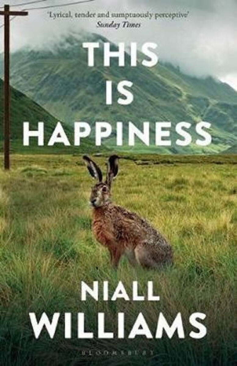Kniha This Is Happiness