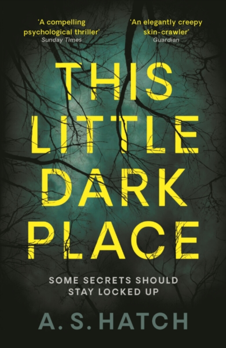 Kniha This Little Dark Place