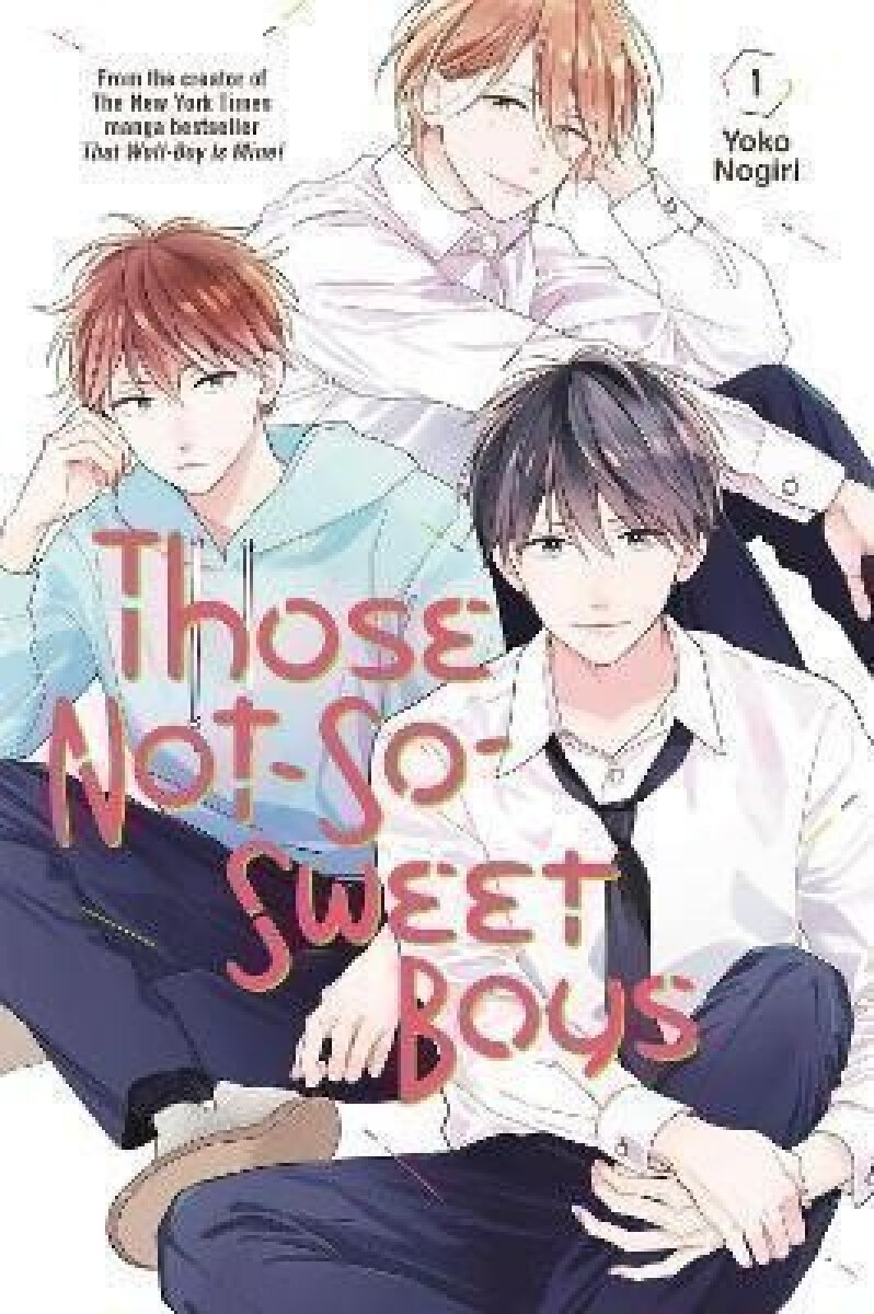 Kniha Those Not-So-Sweet Boys 1