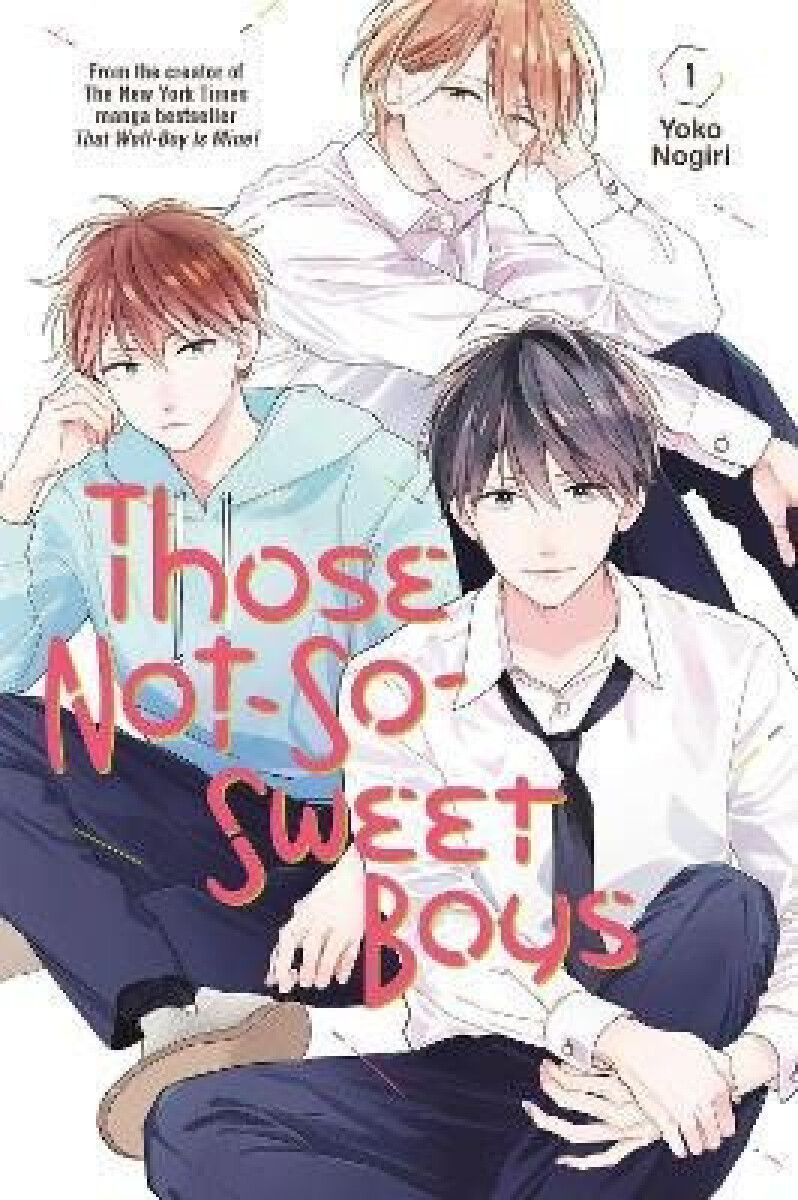 Kniha Those Not-So-Sweet Boys 1