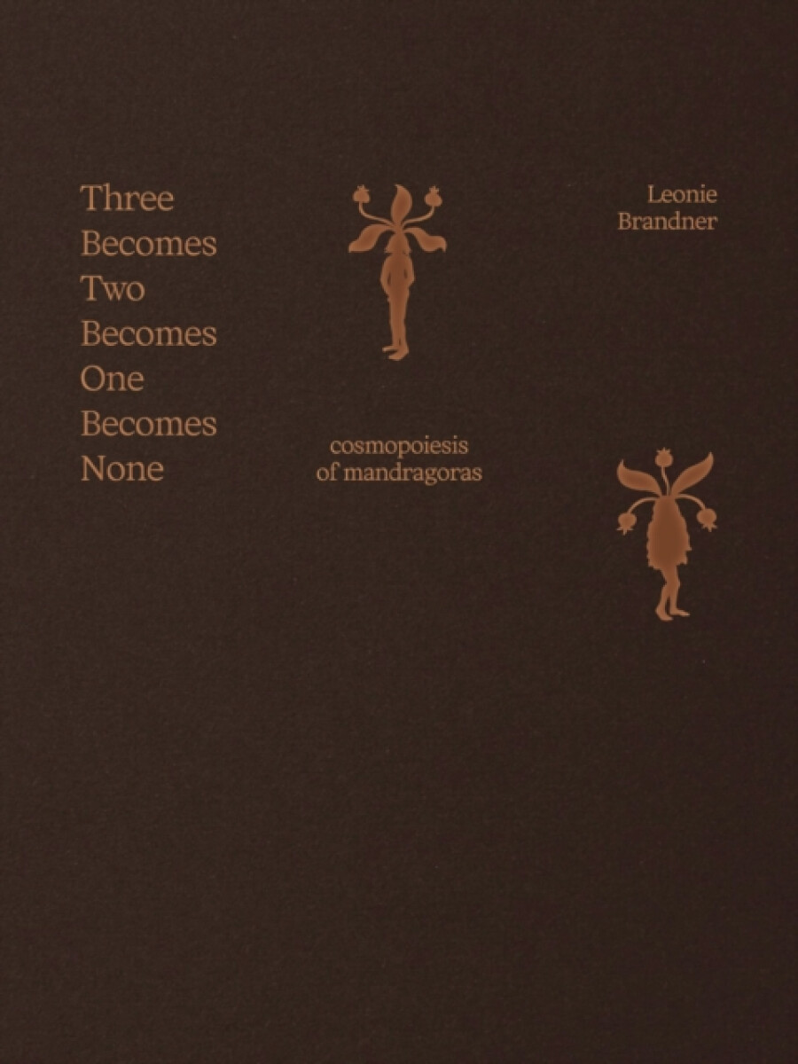 Kniha Three Becomes Two Becomes One Becomes None