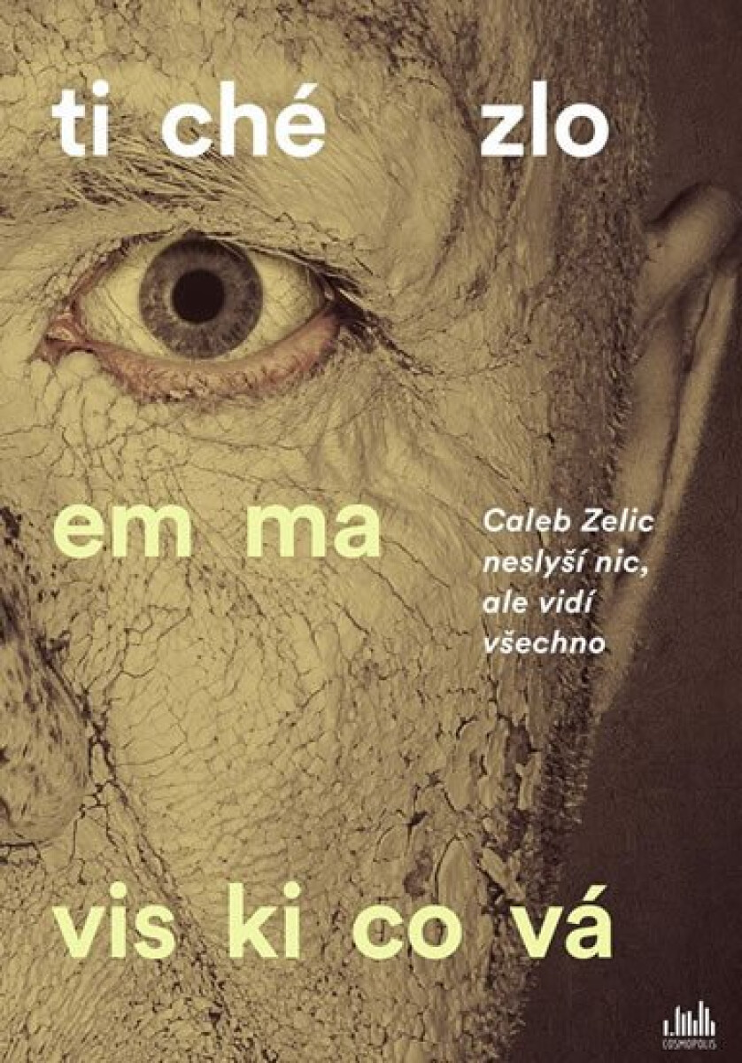 Levně Tiché zlo - Emma Viskic