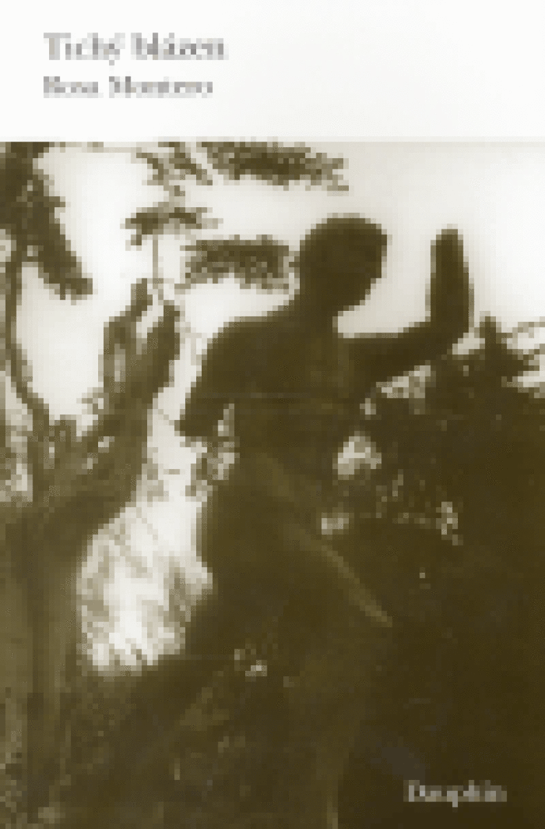 Kniha Tichý blázen