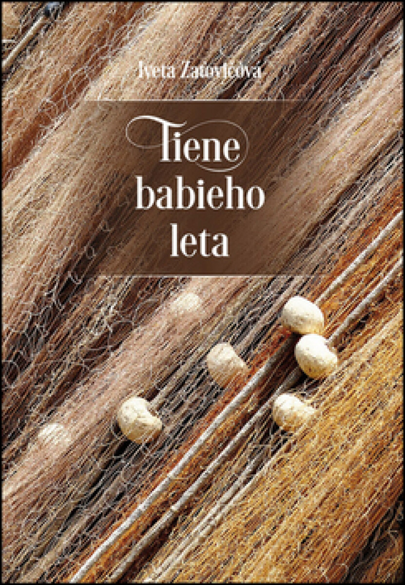 Kniha Tiene babieho leta