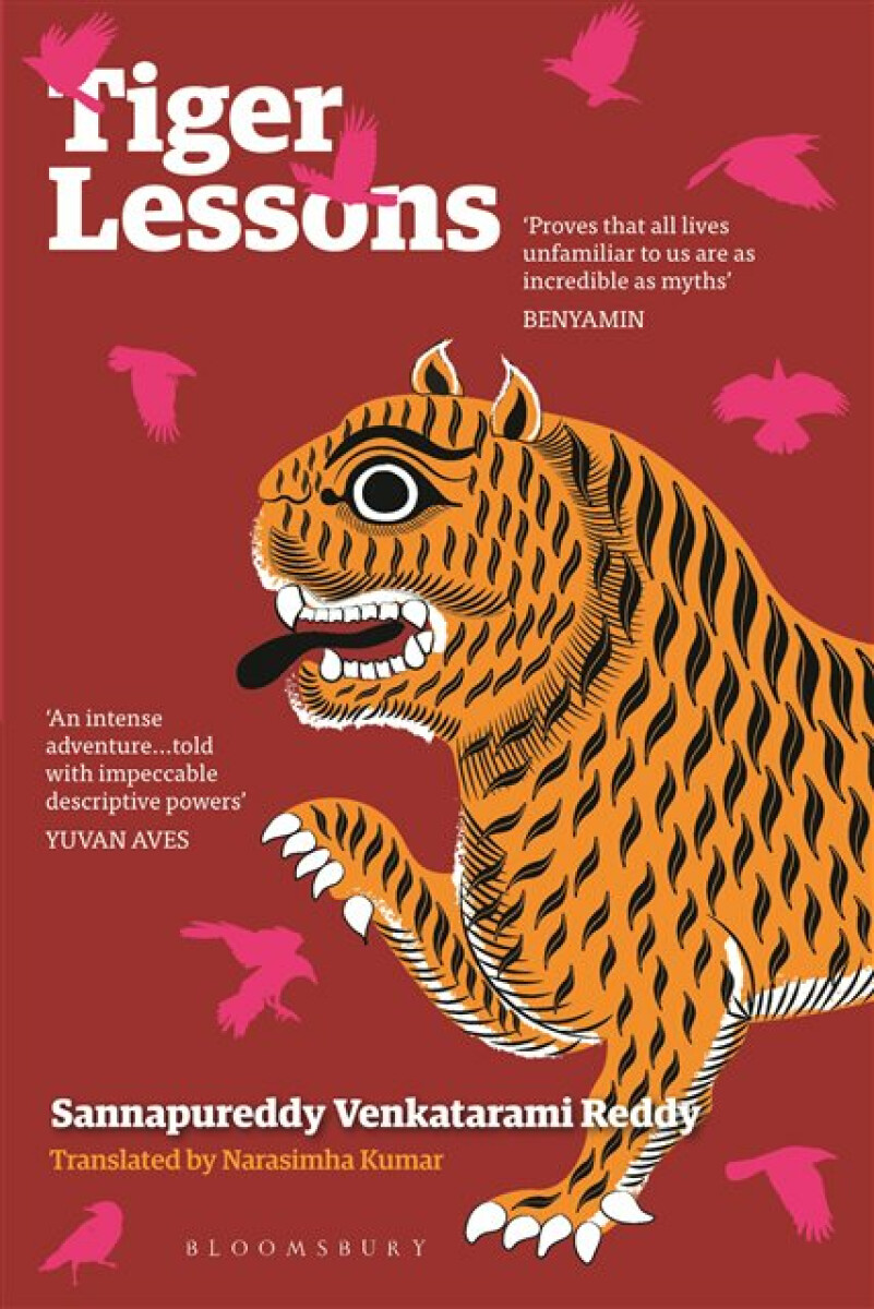 Kniha Tiger Lessons