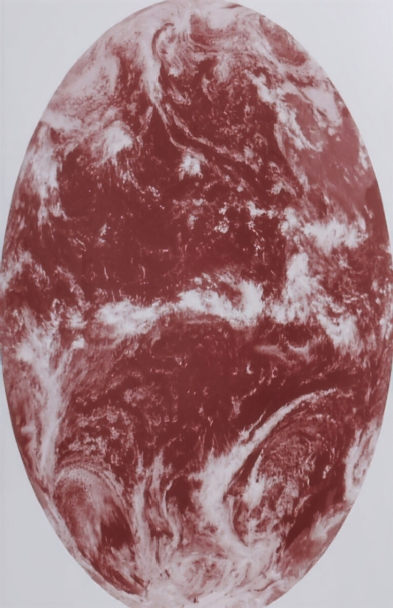 Kniha Tools for Extinction