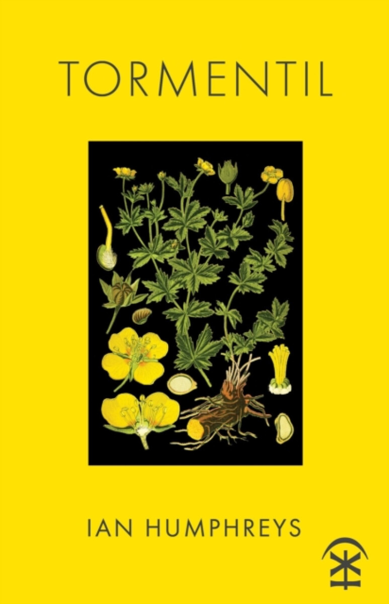 Kniha Tormentil