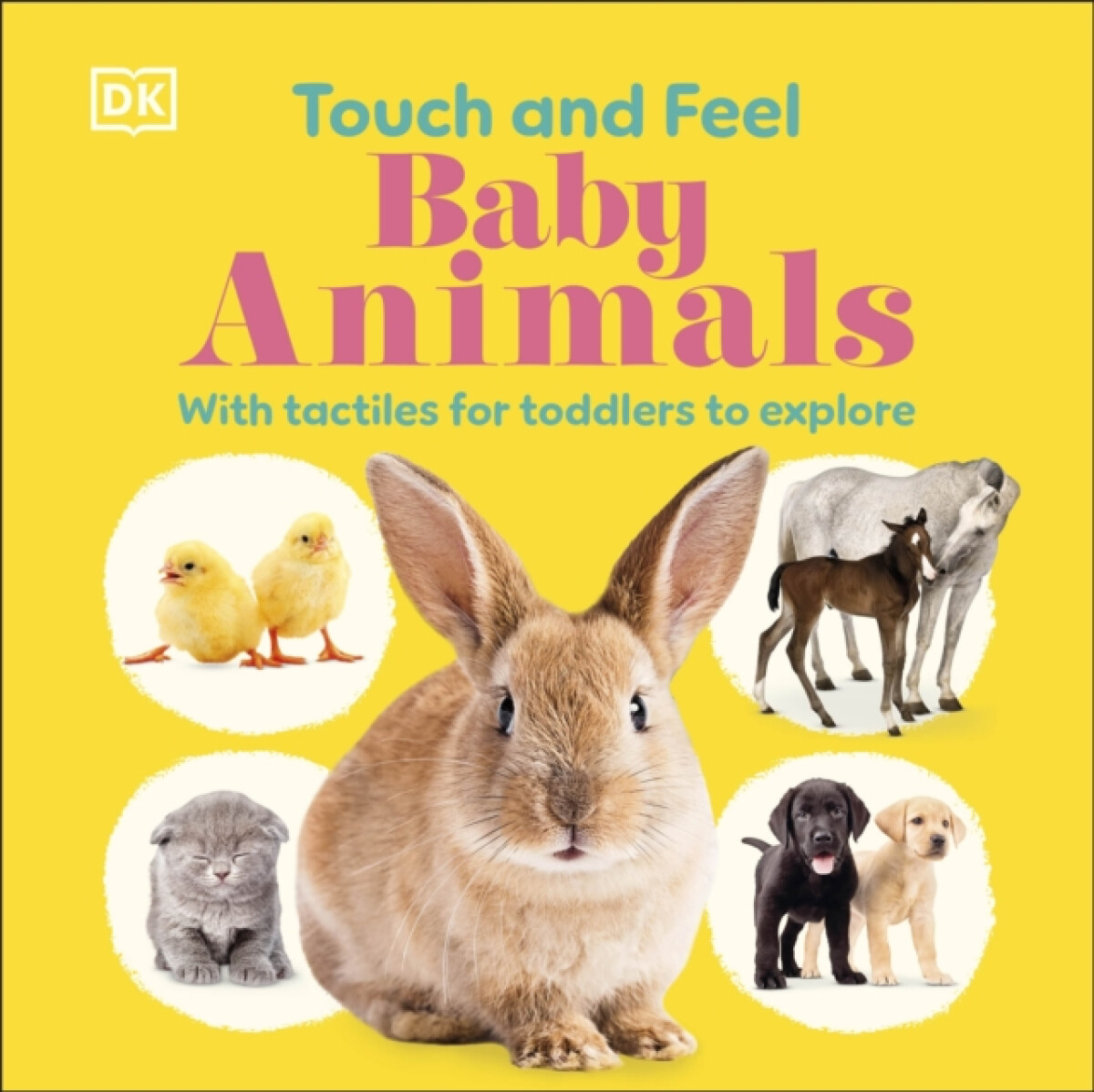 Kniha Touch and Feel Baby Animals