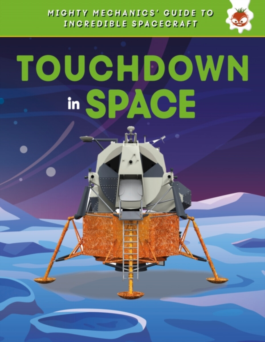 Kniha Touchdown in Space