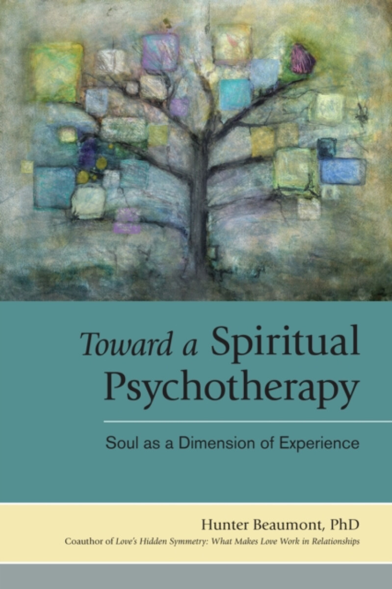 Kniha Toward a Spiritual Psychotherapy