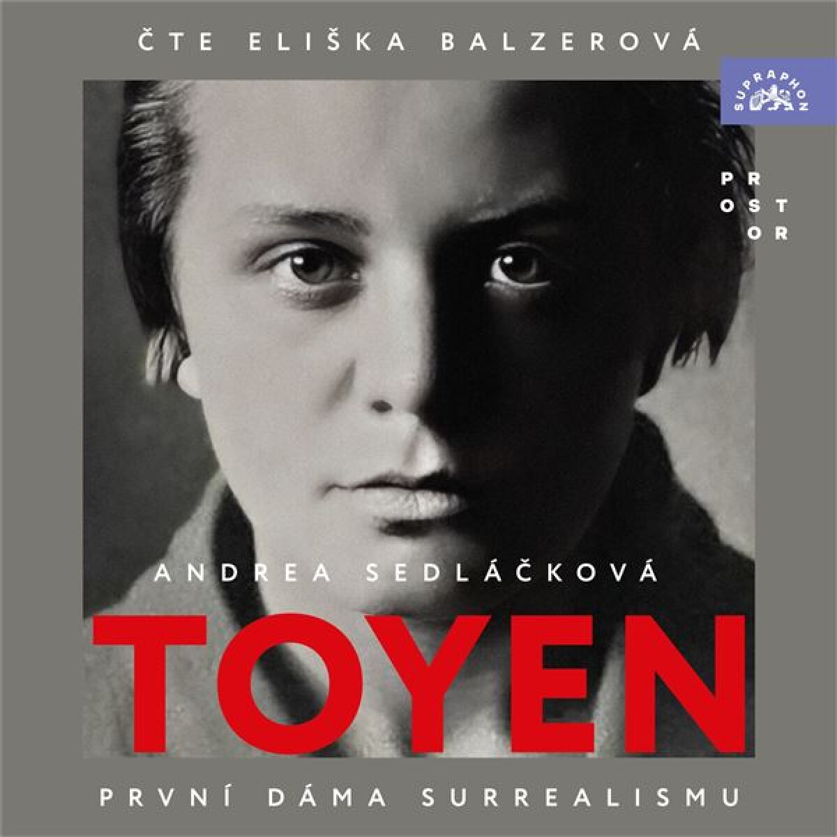 Levně Toyen - Andrea Sedláčková - audiokniha