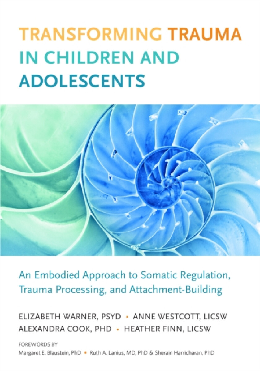 Kniha Transforming Trauma in Children and Adolescents
