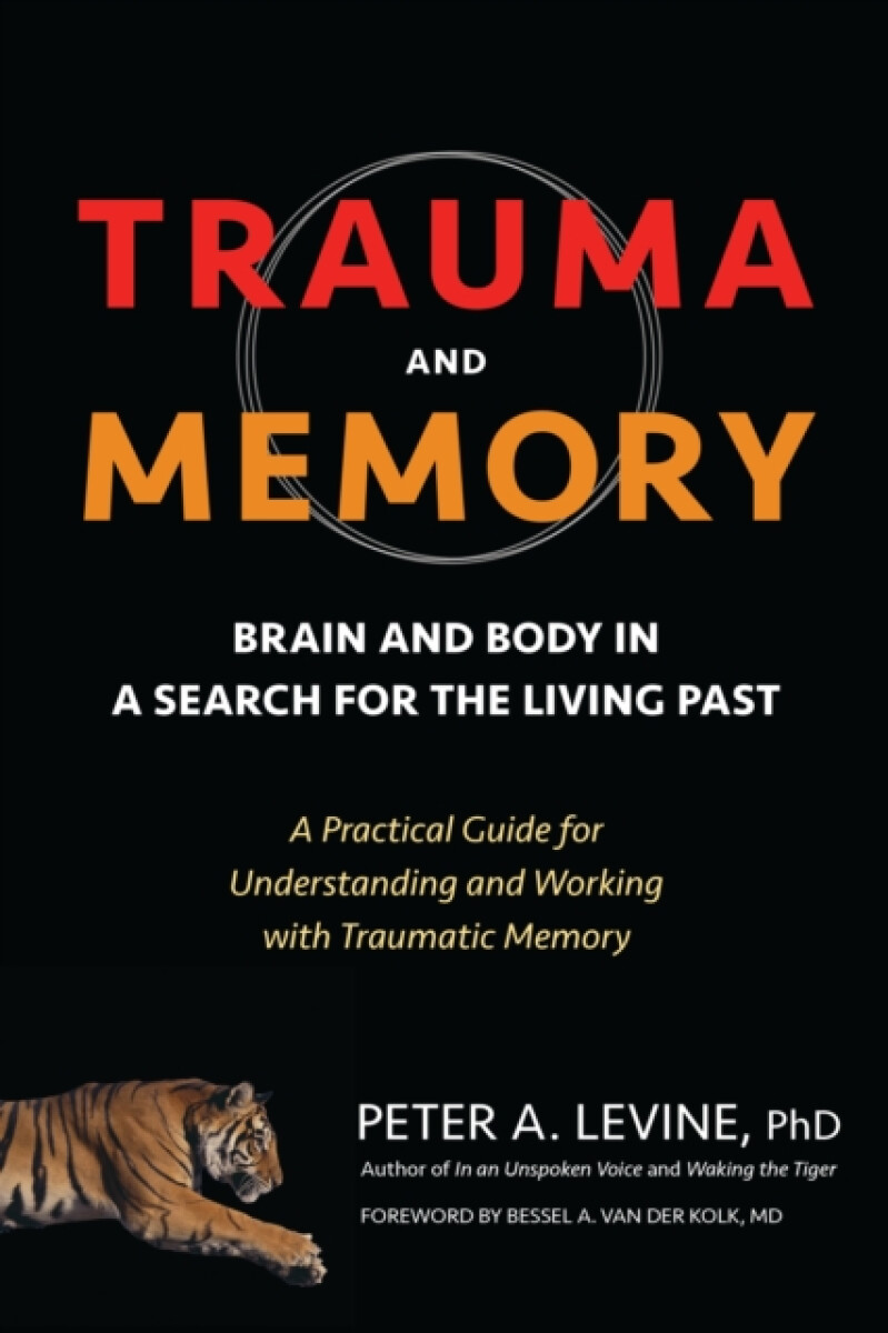 Kniha Trauma and Memory