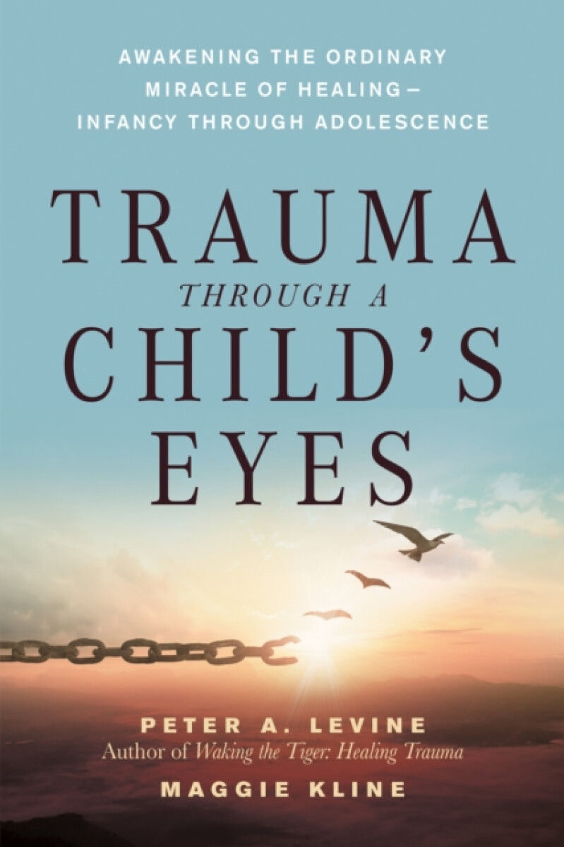 Kniha Trauma Through a Child's Eyes