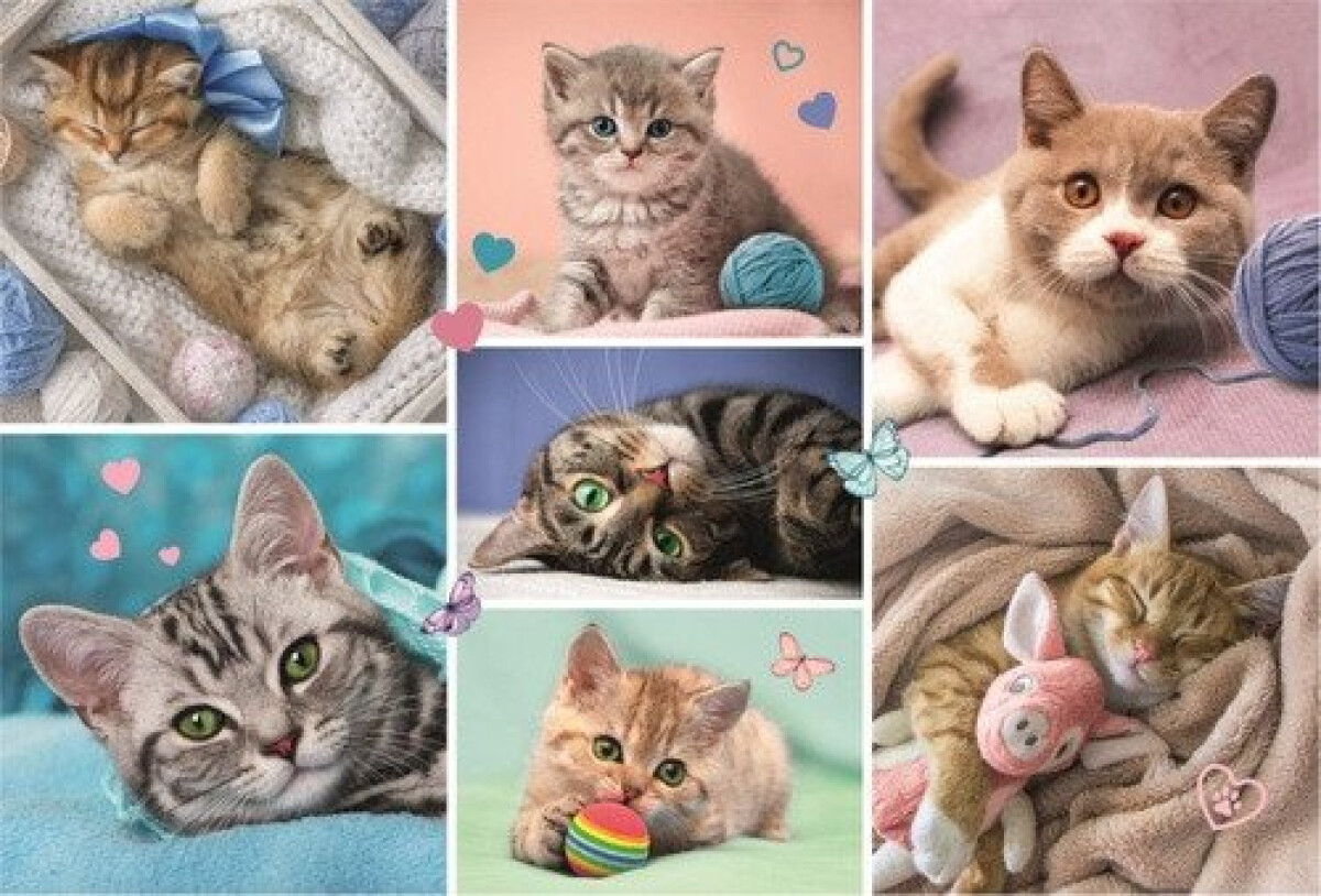 Levně Trefl Puzzle V kočičím světě/100 dílků