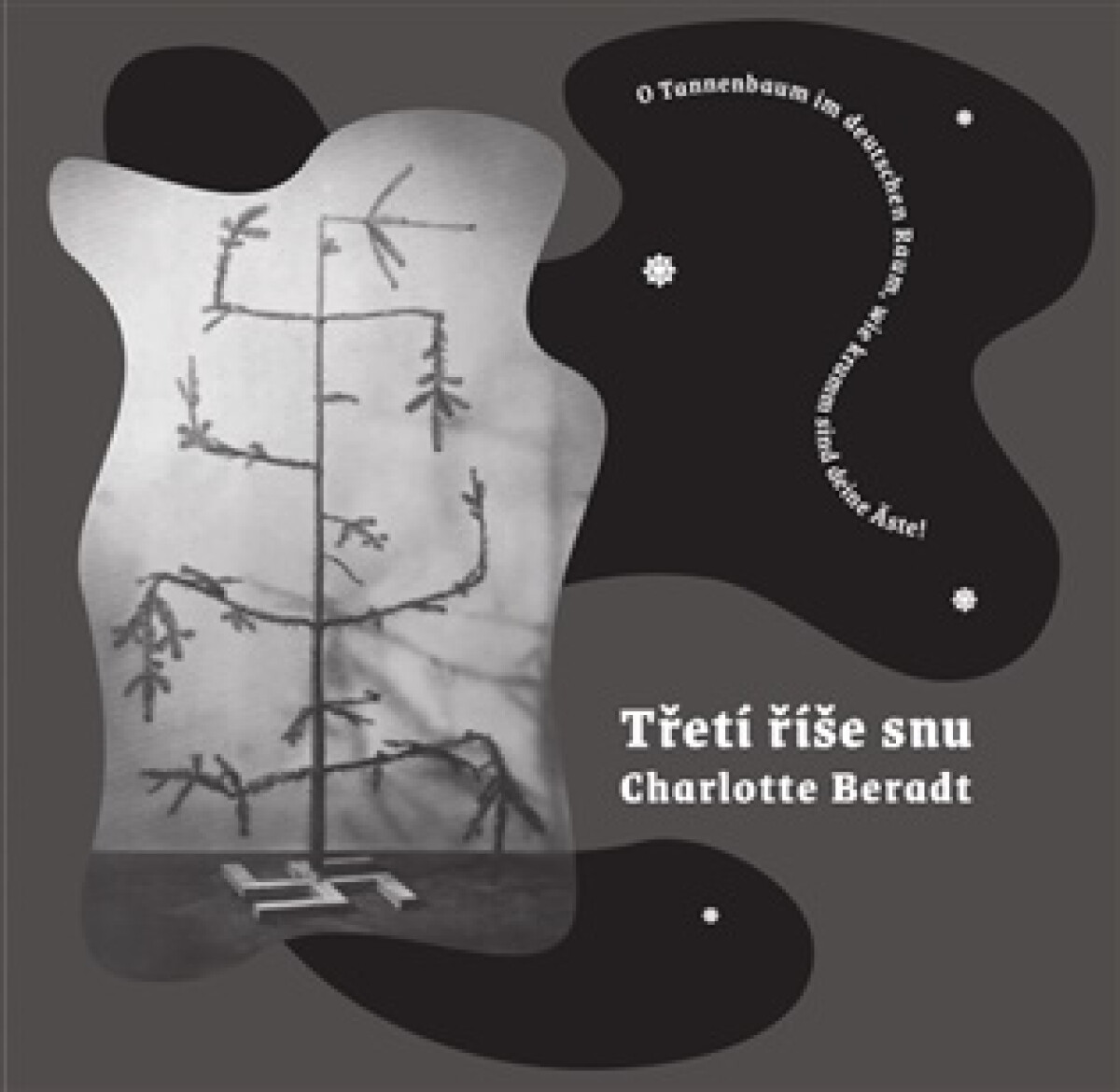 Kniha Třetí říše snu