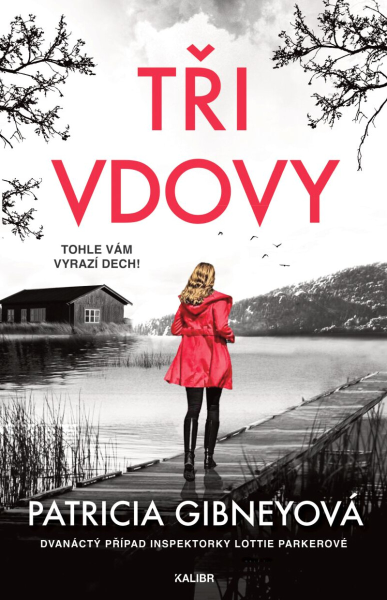 Levně Tři vdovy - Patricia Gibneyová