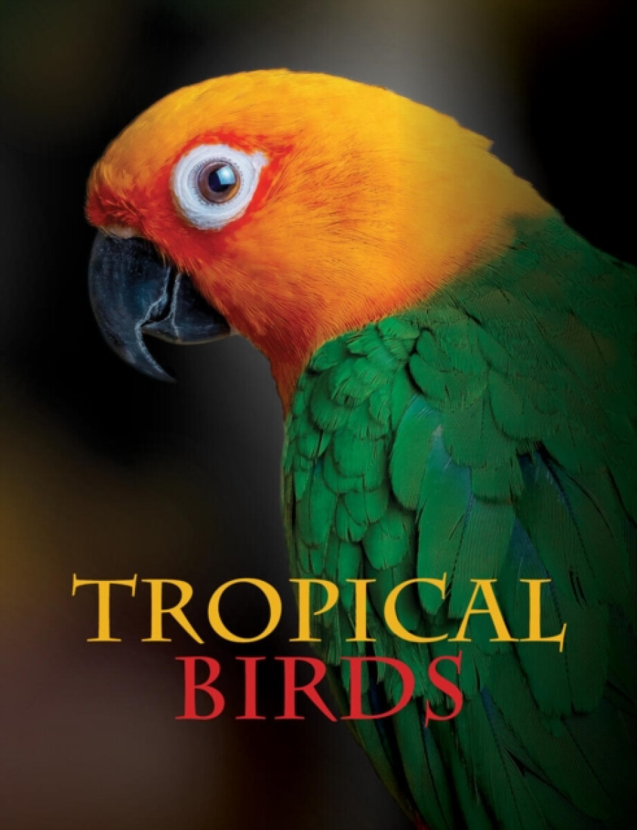 Kniha Tropical Birds