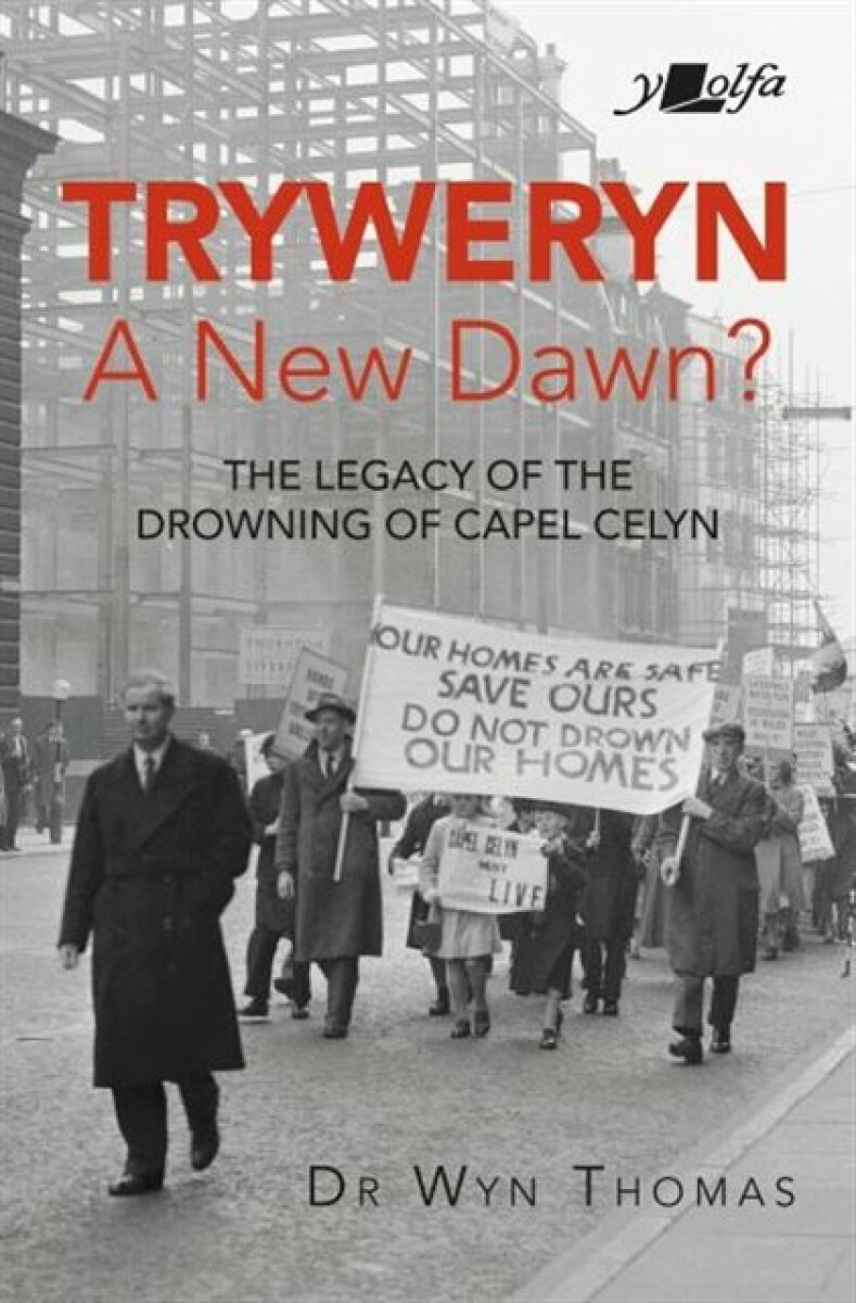 Kniha Tryweryn: A New Dawn?