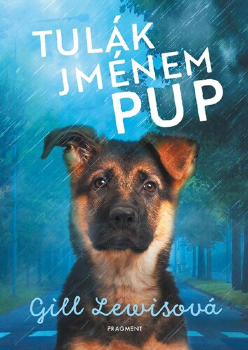Kniha Tulák jménem Pup