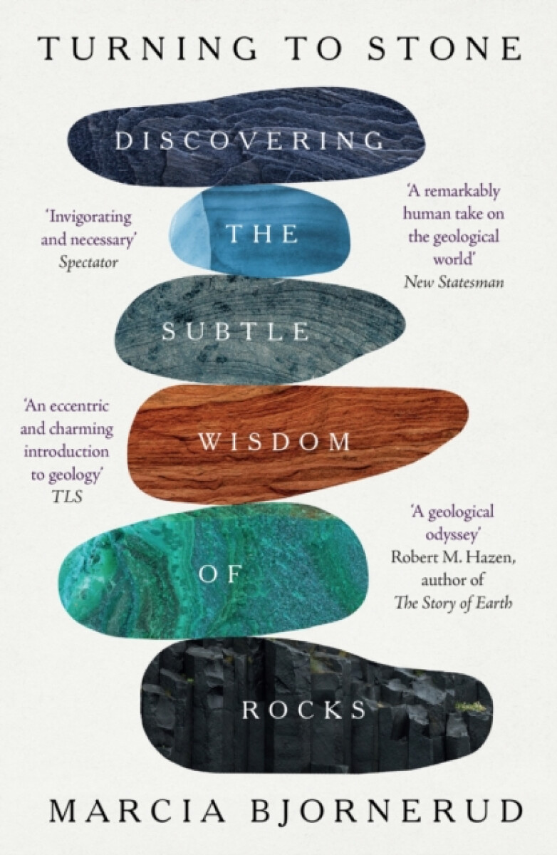 Turning to Stone koupíte na Knihydobrovsky.cz