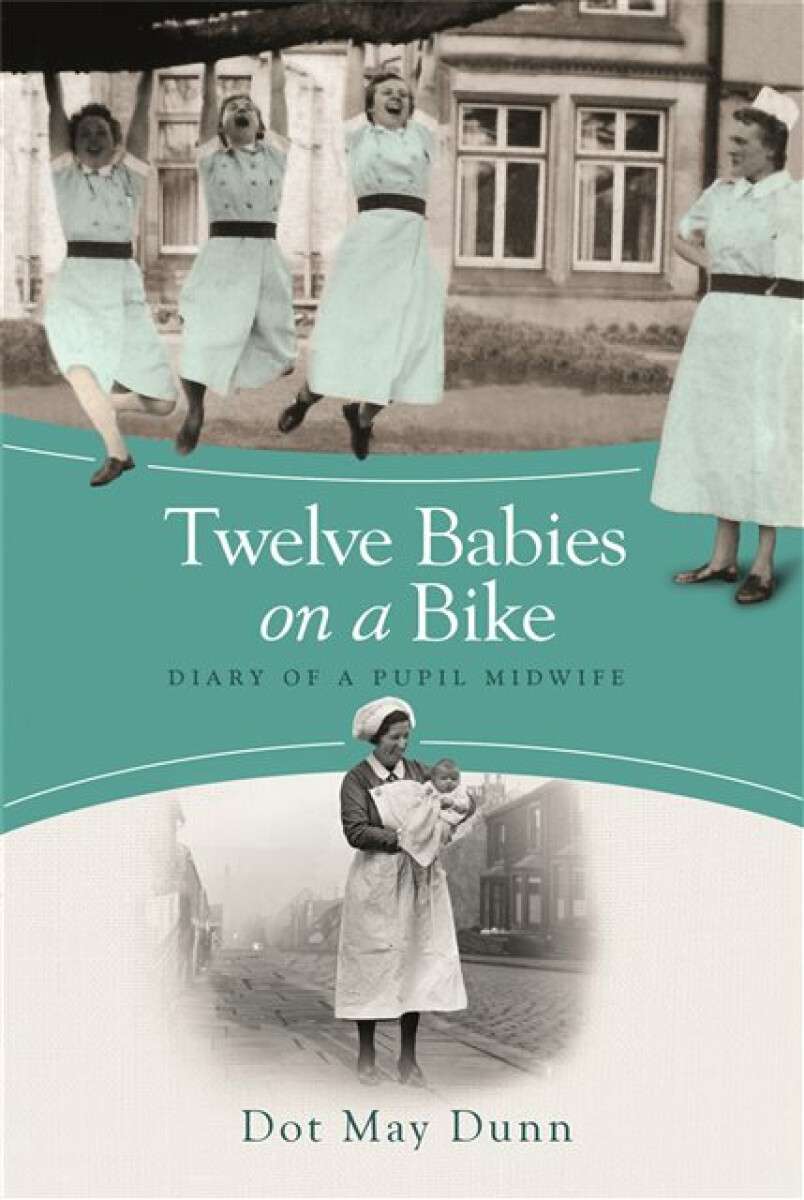 Kniha Twelve Babies on a Bike