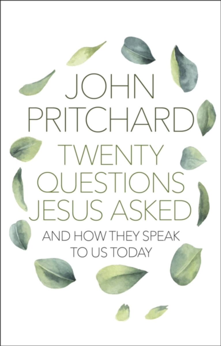 Kniha Twenty Questions Jesus Asked