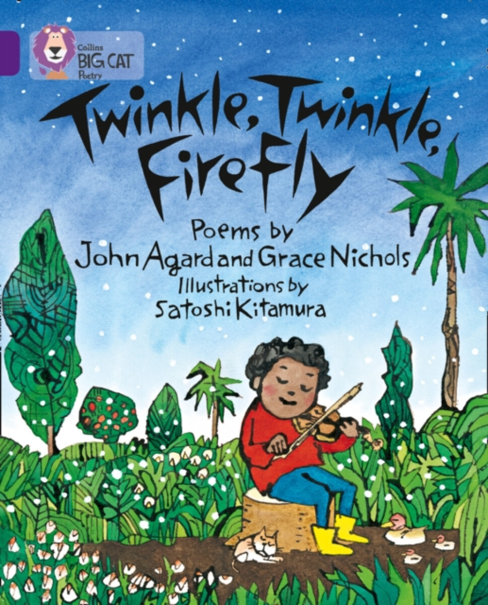 Kniha Twinkle, Twinkle, Firefly