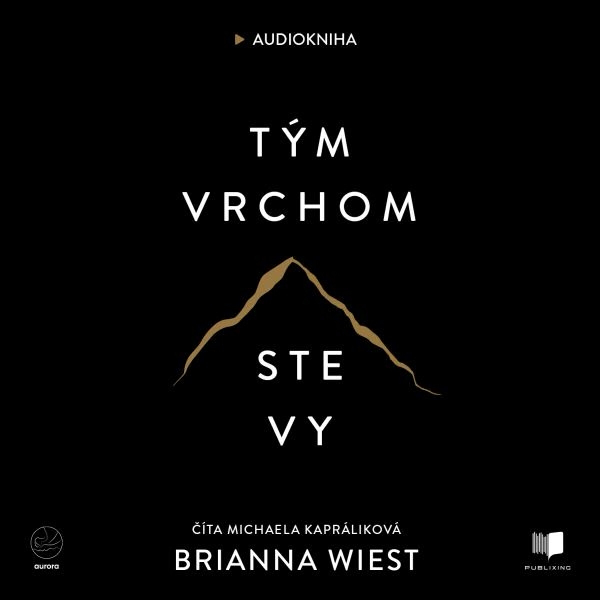 Levně Tým vrchom ste vy - Brianna Wiest - audiokniha